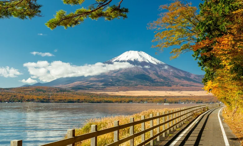abandonan cuerpos en montañas de japon