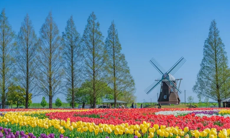 Parque Agrícola Akebonoyama de Chiba