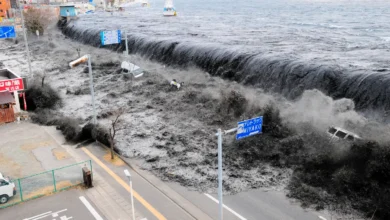 tsunami japon