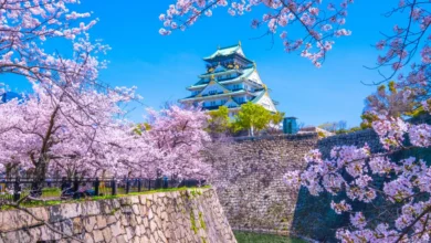 japon en abril