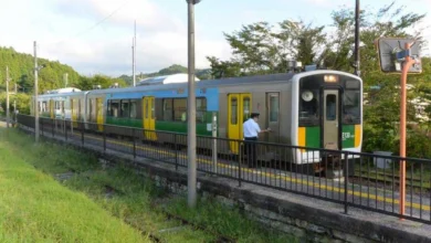 trenes de japon