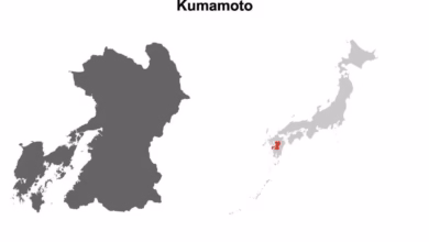 kumamoto 60%
